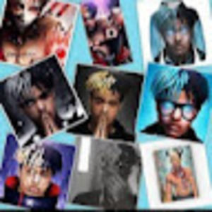 Meet your Posher, Ariel